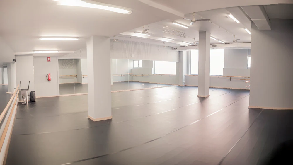 Escuela Profesional de Danza - A3 Danza