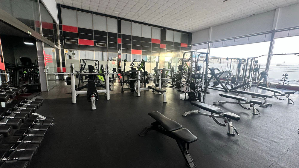 Zona Fitness Algemesí