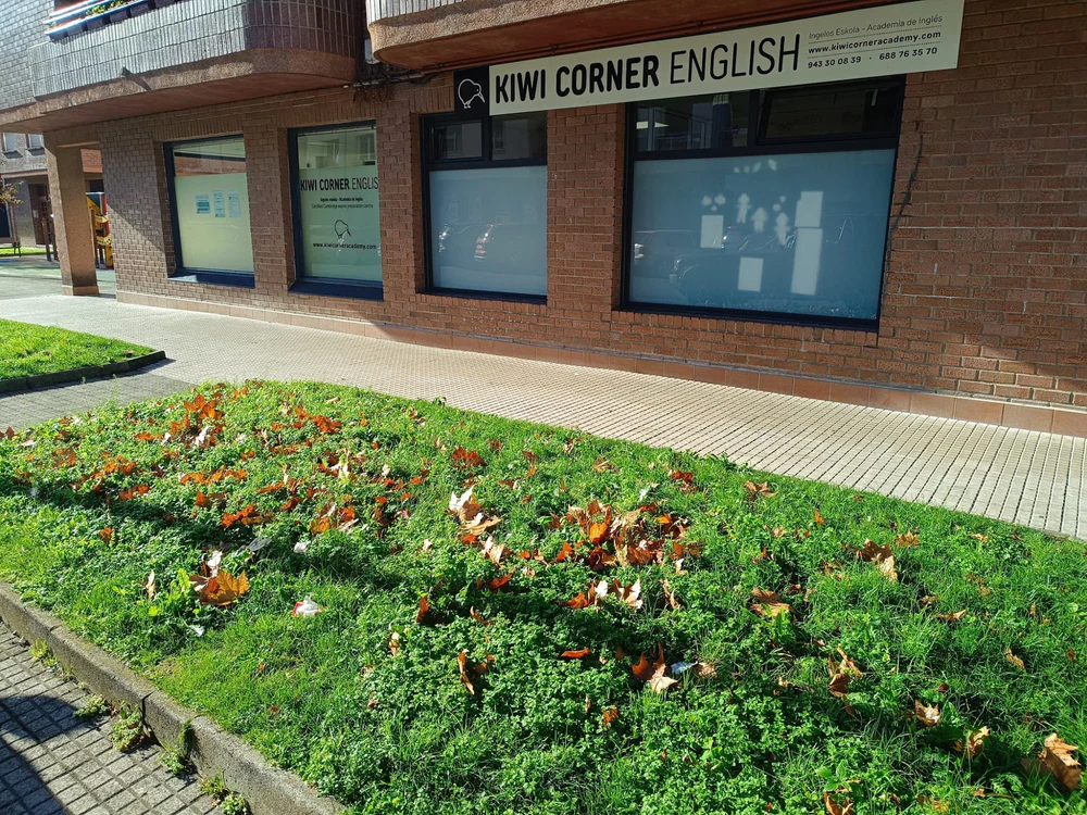 Kiwi Corner English Academy