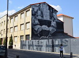 Academia,Centro de estudios Área 20