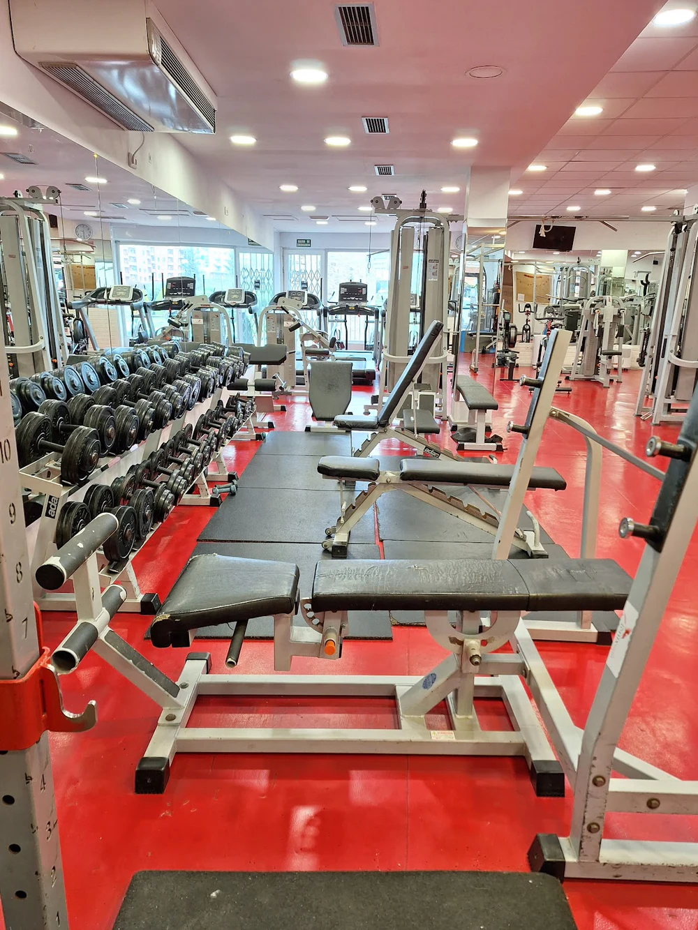 Alvainh Fitness & Gym