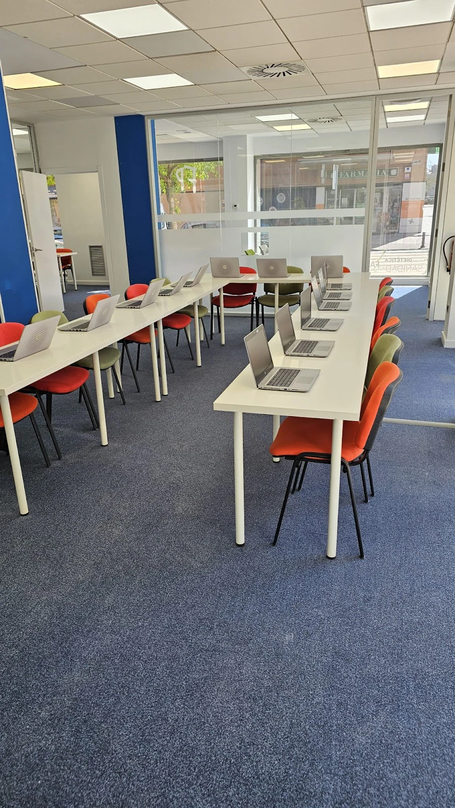Instituto Español para la Educación y la Formación (IEEF)