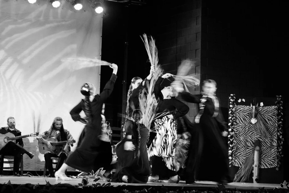 Foto de Centro coreográfico Carmen Beltrán