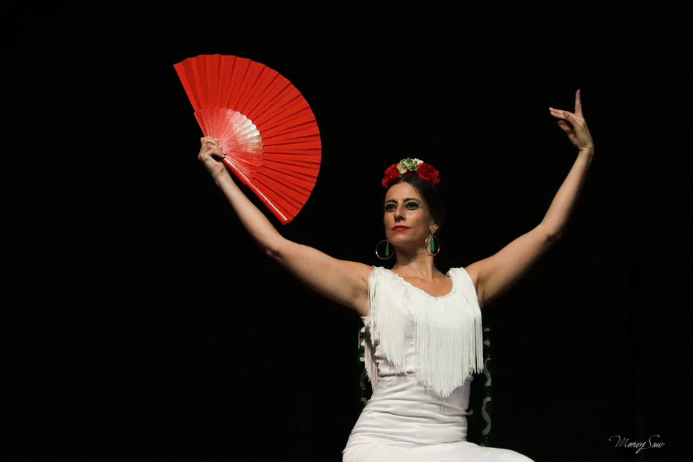 Virginia Martín - Espacio Flamenco