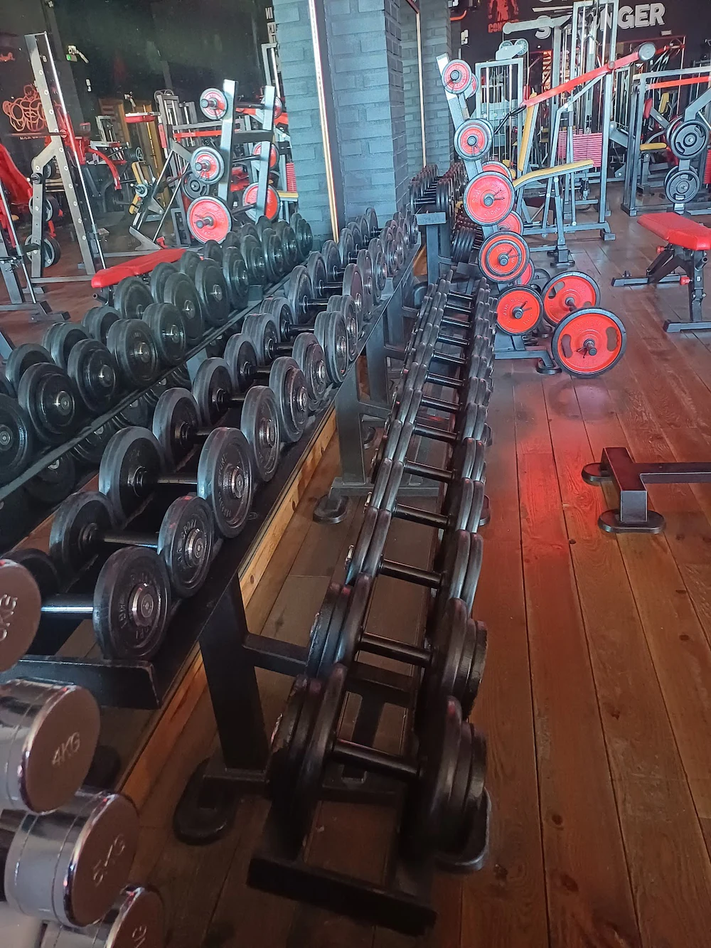 Gym Sparta Sport Centre Esportiu