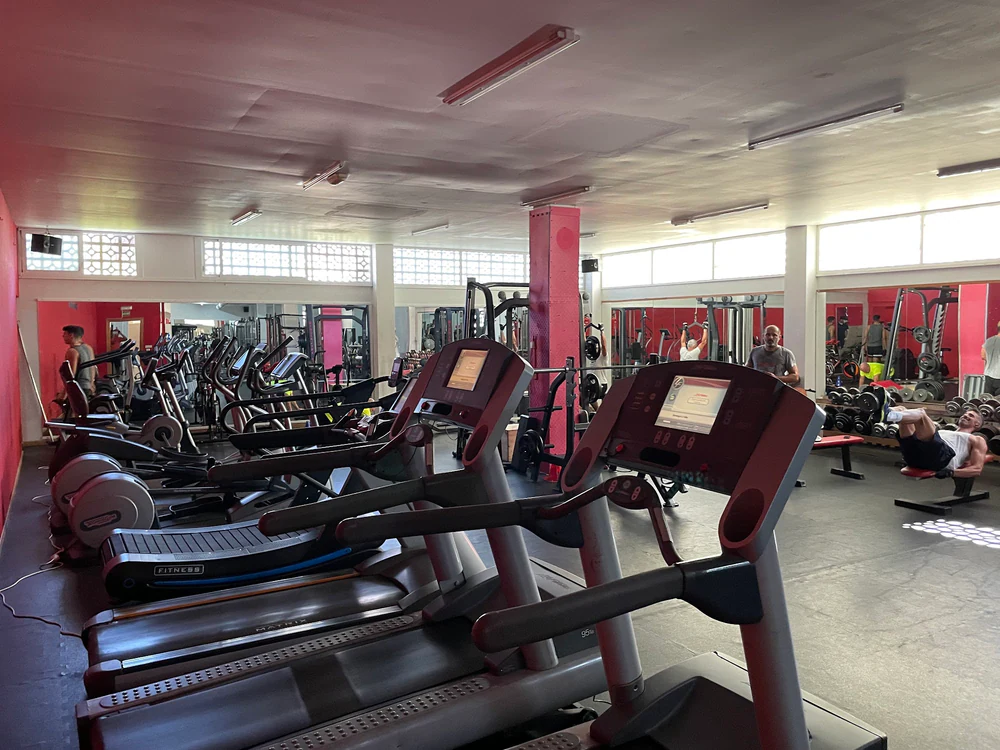 Disciplina Muscular