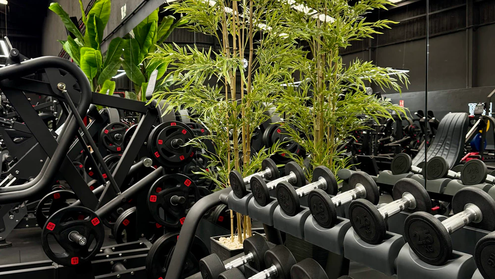 Aura Fitness Club