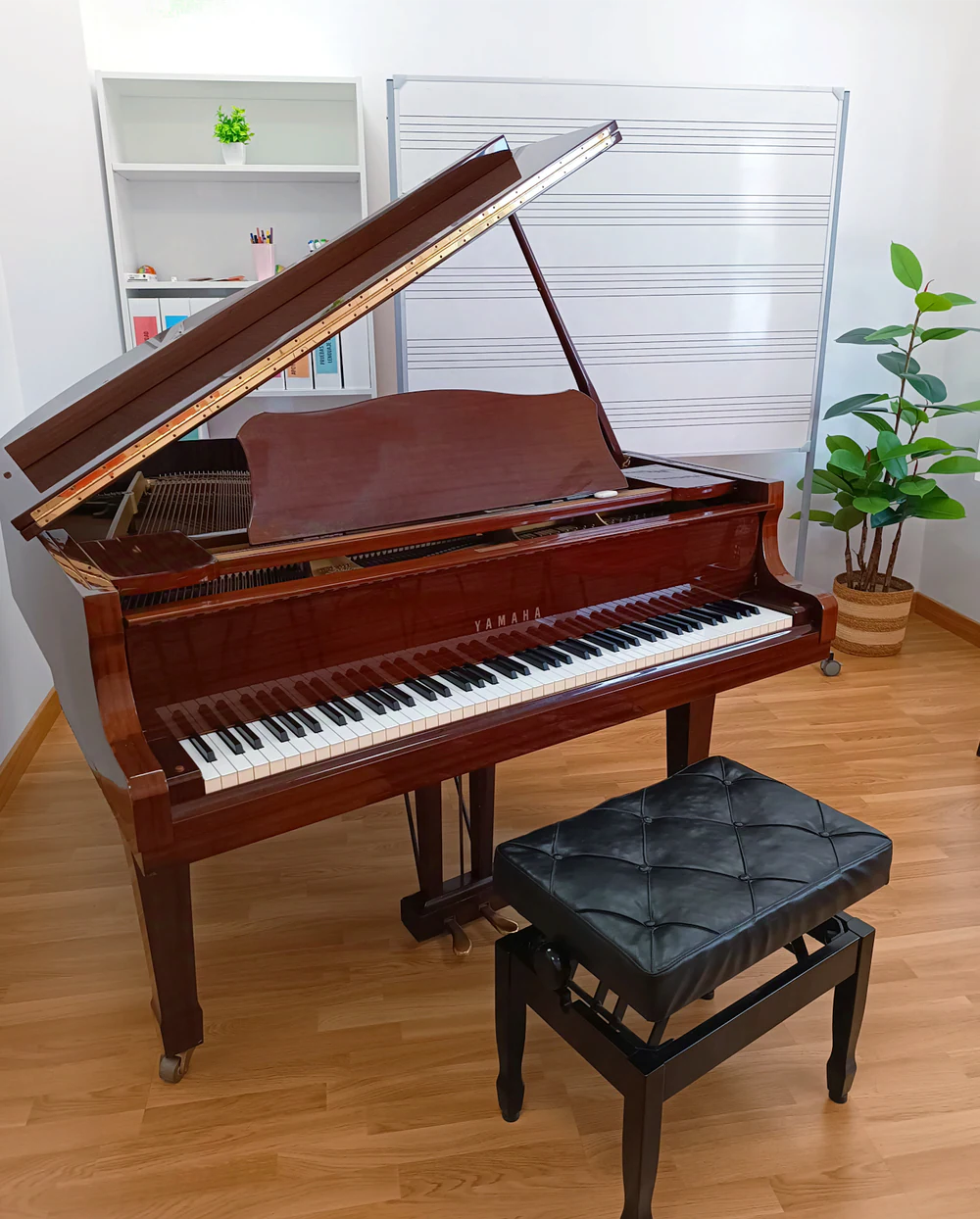 MusiK & More (Escuela de música y artes escénicas) en Cáceres