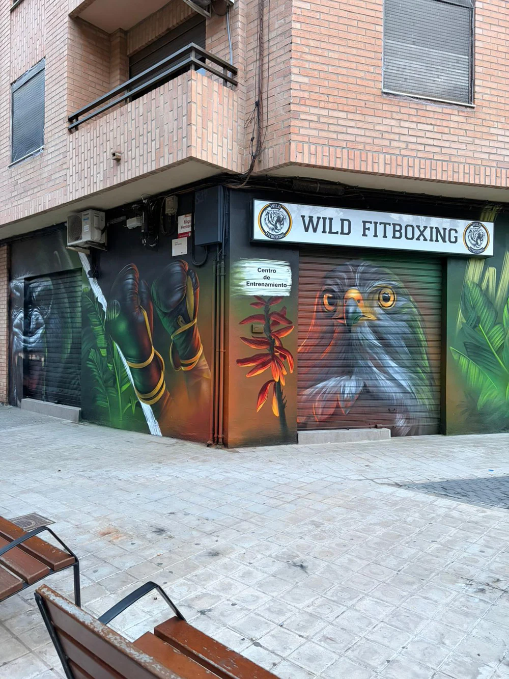 Wild Fitboxing Alaquas