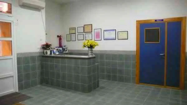 Foto de Academia Nuevos Pasos
