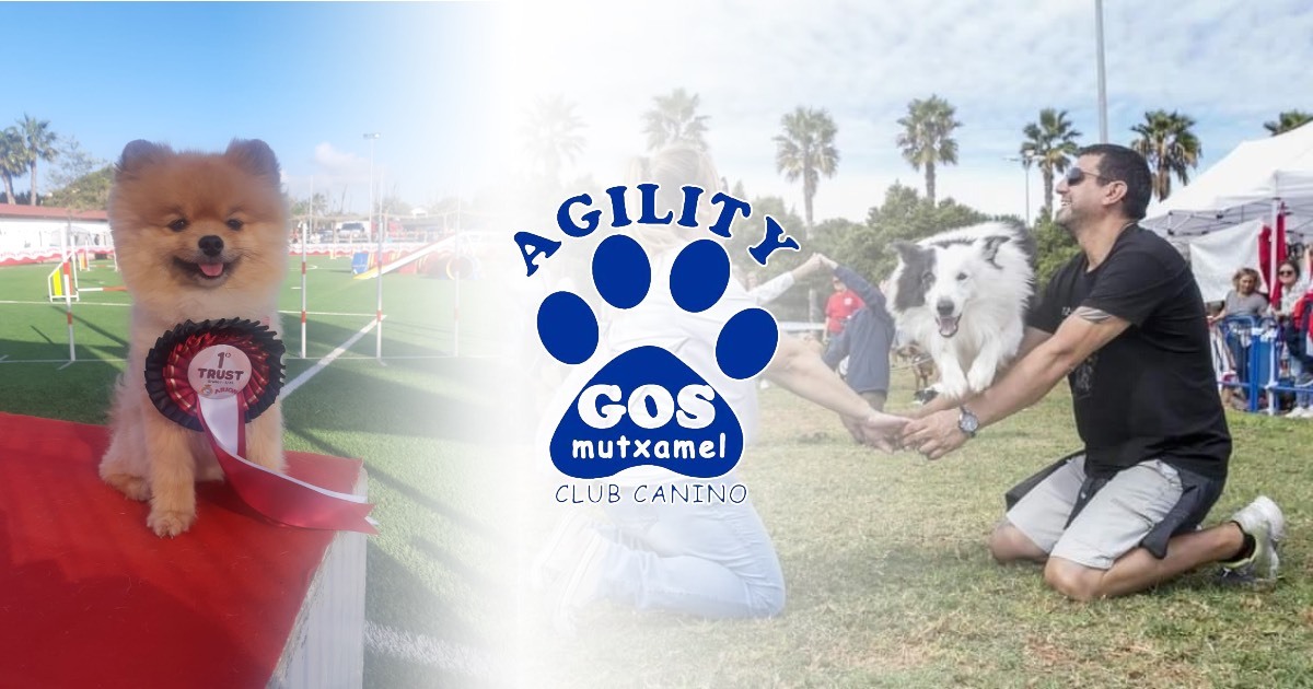 Agility Gos Muchamiel