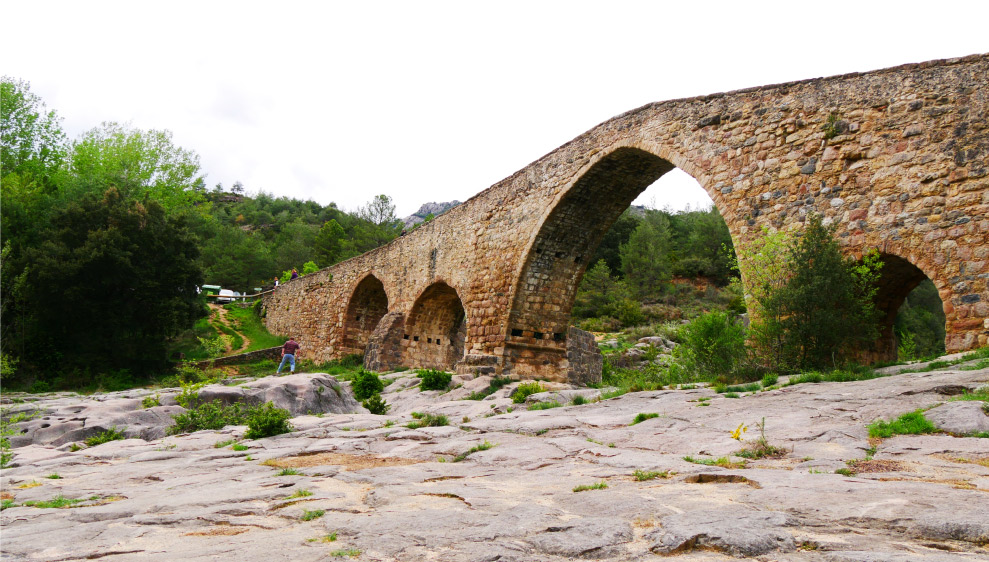 Agència de Desenvolupament del Berguedà