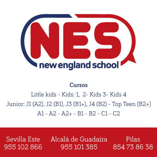 ACADEMIA NES
