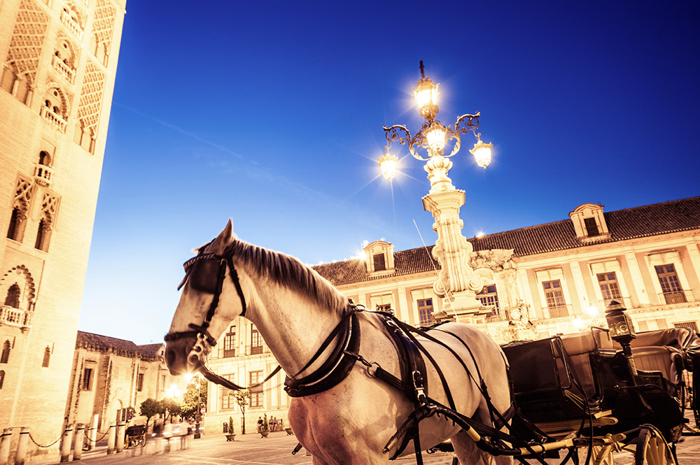 Spanish courses in Seville Enforex