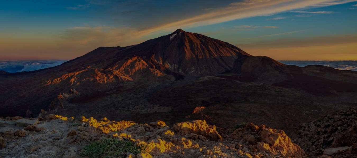 don Quijote Spanish School Tenerife