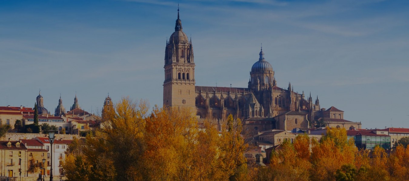 Don Quijote - Spanish School Salamanca