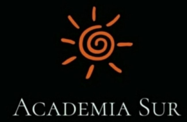 Academia Sur. Spanish Lessons/ Español y Refuerzo Educativo Escolar