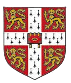 Academia de Inglés English Link School Las Rosas
