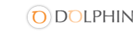 Academia Dolphin SL